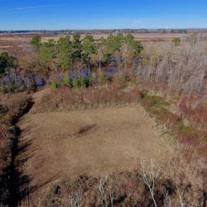 Photo of 19.64 Acres of Tar River Hunting Land For Sale in Edgecombe County NC!
