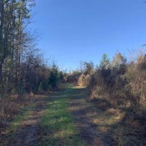 Photo of 19.64 Acres of Tar River Hunting Land For Sale in Edgecombe County NC!