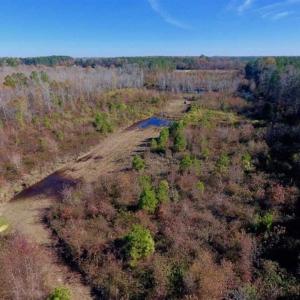 Photo of 19.64 Acres of Tar River Hunting Land For Sale in Edgecombe County NC!