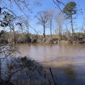 Photo of 19.64 Acres of Tar River Hunting Land For Sale in Edgecombe County NC!
