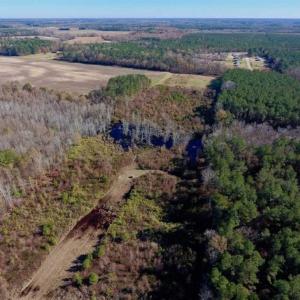 Photo of 19.64 Acres of Tar River Hunting Land For Sale in Edgecombe County NC!