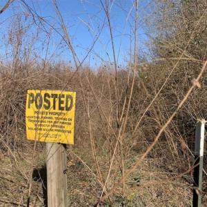 Photo of 19.64 Acres of Tar River Hunting Land For Sale in Edgecombe County NC!