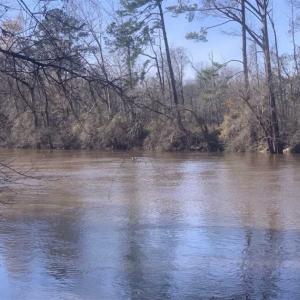 Photo of 19.64 Acres of Tar River Hunting Land For Sale in Edgecombe County NC!