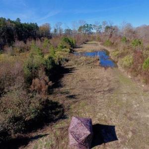 Photo of 19.64 Acres of Tar River Hunting Land For Sale in Edgecombe County NC!