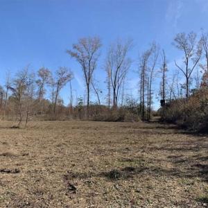 Photo of 19.64 Acres of Tar River Hunting Land For Sale in Edgecombe County NC!