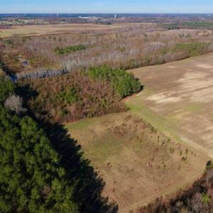 Photo of 19.64 Acres of Tar River Hunting Land For Sale in Edgecombe County NC!