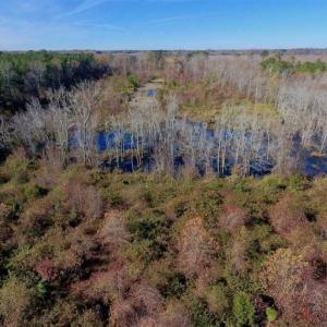 Photo of 19.64 Acres of Tar River Hunting Land For Sale in Edgecombe County NC!