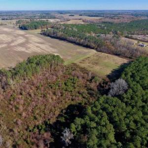 Photo of 19.64 Acres of Tar River Hunting Land For Sale in Edgecombe County NC!