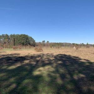 Photo of 19.64 Acres of Tar River Hunting Land For Sale in Edgecombe County NC!