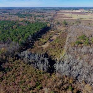 Photo of 19.64 Acres of Tar River Hunting Land For Sale in Edgecombe County NC!