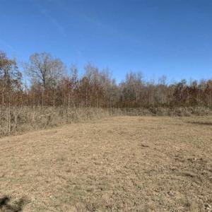 Photo of 19.64 Acres of Tar River Hunting Land For Sale in Edgecombe County NC!