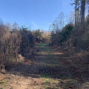 Photo of 19.64 Acres of Tar River Hunting Land For Sale in Edgecombe County NC!