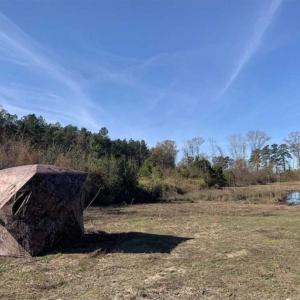 Photo of 19.64 Acres of Tar River Hunting Land For Sale in Edgecombe County NC!