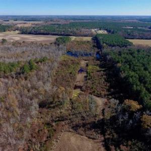 Photo of 19.64 Acres of Tar River Hunting Land For Sale in Edgecombe County NC!