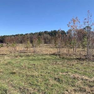 Photo of 19.64 Acres of Tar River Hunting Land For Sale in Edgecombe County NC!