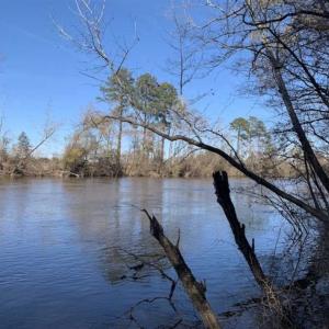 Photo of 19.64 Acres of Tar River Hunting Land For Sale in Edgecombe County NC!