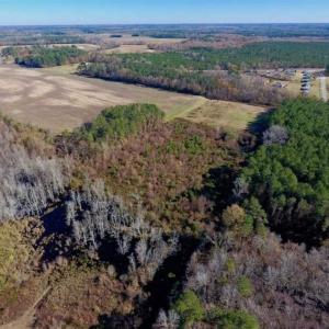 Photo of 19.64 Acres of Tar River Hunting Land For Sale in Edgecombe County NC!