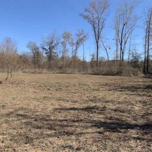 Photo of 19.64 Acres of Tar River Hunting Land For Sale in Edgecombe County NC!
