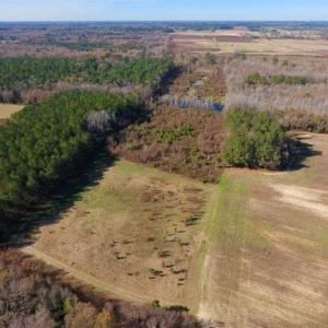 Photo of 19.64 Acres of Tar River Hunting Land For Sale in Edgecombe County NC!