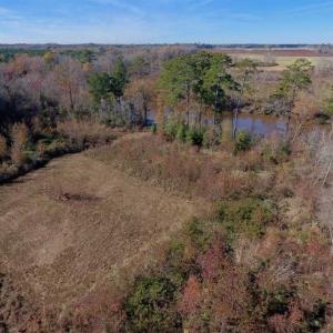 Photo of 19.64 Acres of Tar River Hunting Land For Sale in Edgecombe County NC!