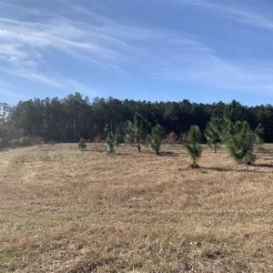 Photo of 19.64 Acres of Tar River Hunting Land For Sale in Edgecombe County NC!
