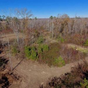 Photo of 19.64 Acres of Tar River Hunting Land For Sale in Edgecombe County NC!