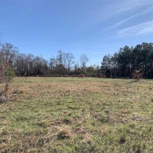 Photo of 19.64 Acres of Tar River Hunting Land For Sale in Edgecombe County NC!