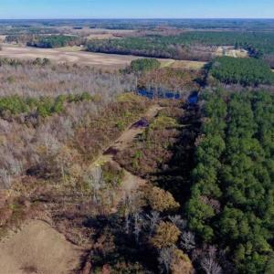 Photo of 19.64 Acres of Tar River Hunting Land For Sale in Edgecombe County NC!