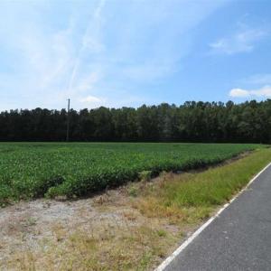 Photo of UNDER CONTRACT!  29 Acres of Farm and Timber Land For Sale in Duplin County NC!