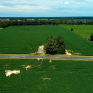 Photo of UNDER CONTRACT!!  35 Acres of Farm and Hunting Land For Sale in Duplin County NC!
