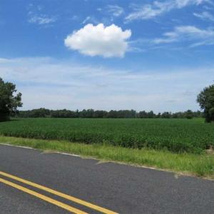Photo of UNDER CONTRACT!!  35 Acres of Farm and Hunting Land For Sale in Duplin County NC!