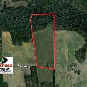 Photo of UNDER CONTRACT!!  35 Acres of Farm and Hunting Land For Sale in Duplin County NC!