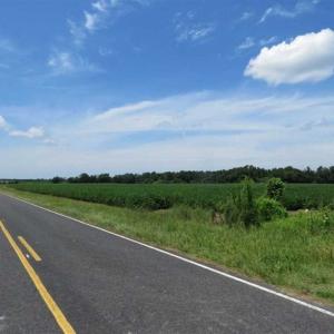 Photo of UNDER CONTRACT!!  35 Acres of Farm and Hunting Land For Sale in Duplin County NC!