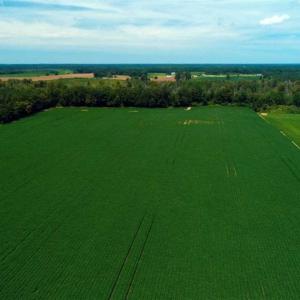 Photo of UNDER CONTRACT!!  35 Acres of Farm and Hunting Land For Sale in Duplin County NC!