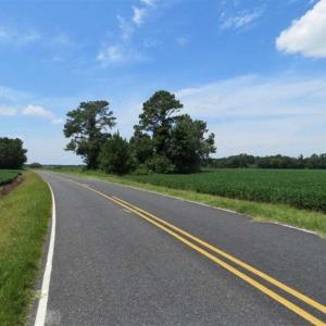 Photo of UNDER CONTRACT!!  35 Acres of Farm and Hunting Land For Sale in Duplin County NC!