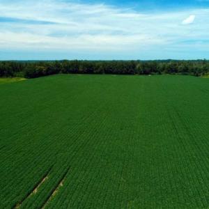 Photo of UNDER CONTRACT!!  35 Acres of Farm and Hunting Land For Sale in Duplin County NC!