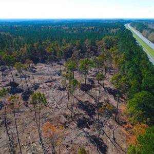 Photo of 23.23 Acres of Residential Land For Sale in Lee County NC!