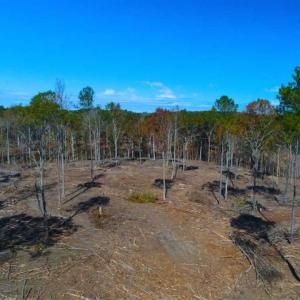 Photo of 23.23 Acres of Residential Land For Sale in Lee County NC!