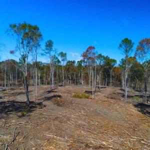 Photo of 23.23 Acres of Residential Land For Sale in Lee County NC!