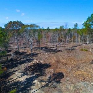 Photo of 23.23 Acres of Residential Land For Sale in Lee County NC!