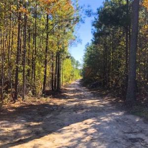 Photo of 23.23 Acres of Residential Land For Sale in Lee County NC!