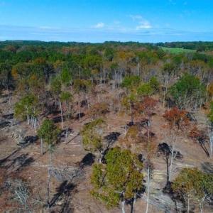 Photo of 23.23 Acres of Residential Land For Sale in Lee County NC!