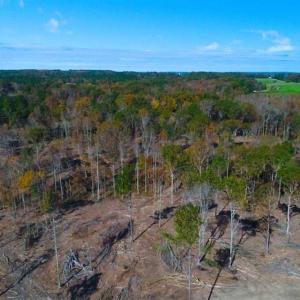 Photo of 23.23 Acres of Residential Land For Sale in Lee County NC!