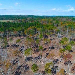 Photo of 23.23 Acres of Residential Land For Sale in Lee County NC!