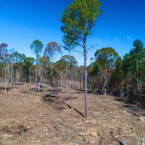 Photo of 23.23 Acres of Residential Land For Sale in Lee County NC!