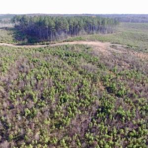 Photo of 114 acres of Recreational and Hunting Land For Sale in Lunenburg County VA!