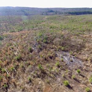 Photo of 114 acres of Recreational and Hunting Land For Sale in Lunenburg County VA!