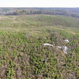Photo of 114 acres of Recreational and Hunting Land For Sale in Lunenburg County VA!
