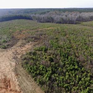 Photo of 114 acres of Recreational and Hunting Land For Sale in Lunenburg County VA!