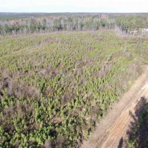Photo of 114 acres of Recreational and Hunting Land For Sale in Lunenburg County VA!